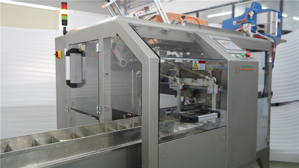 ماكينة تعبئة في صناديق ZH200