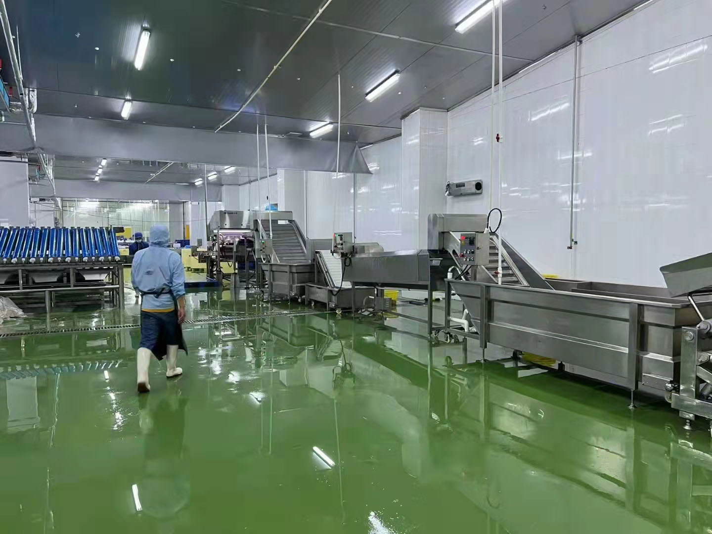 خط معالجة إزالة رؤوس الروبيان الأوتوماتيكي SDL100A