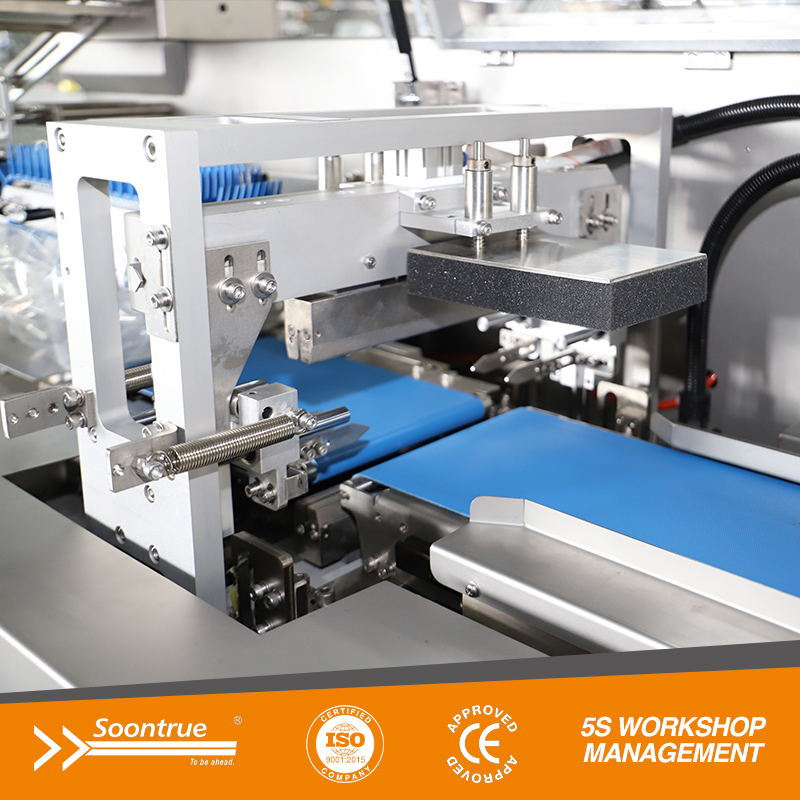 آلة تعبئة وتغليف SW80E Box Motion Flow