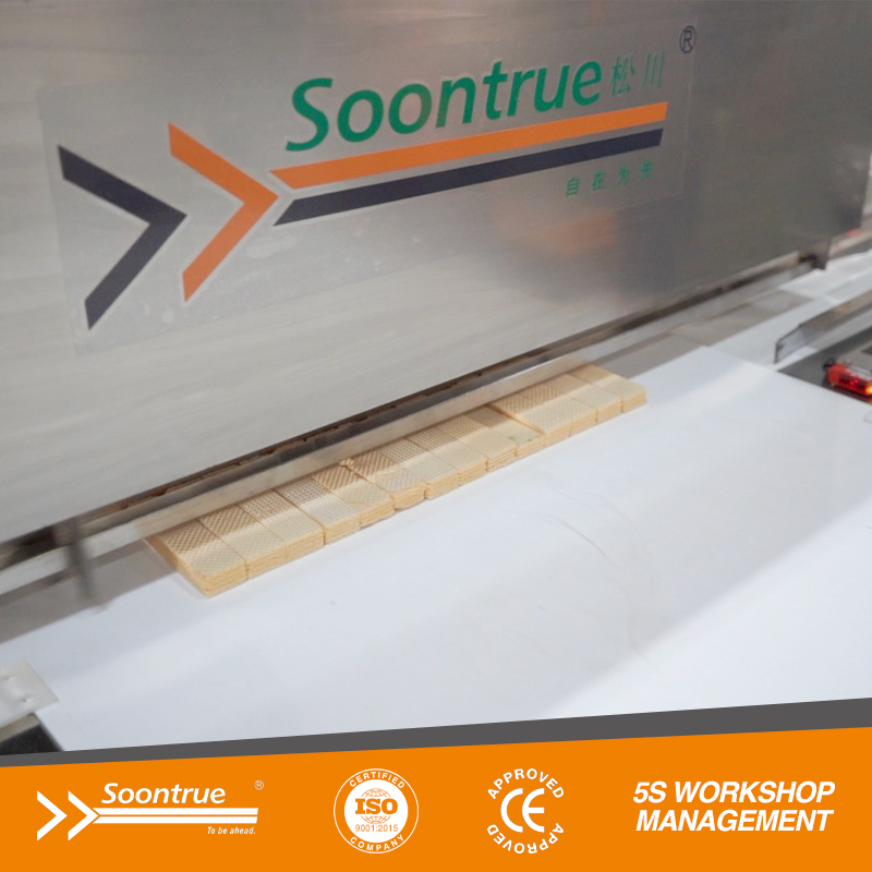 خط تعبئة وتغليف الرقائق الأوتوماتيكي